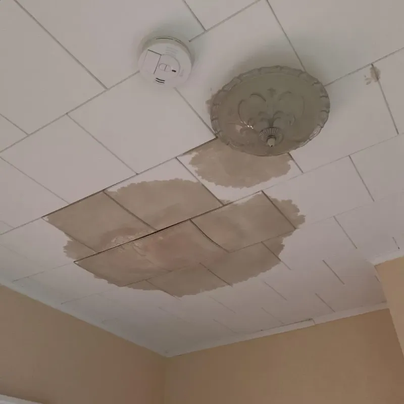 Ceiling Water Damage Repair in Moore, OK