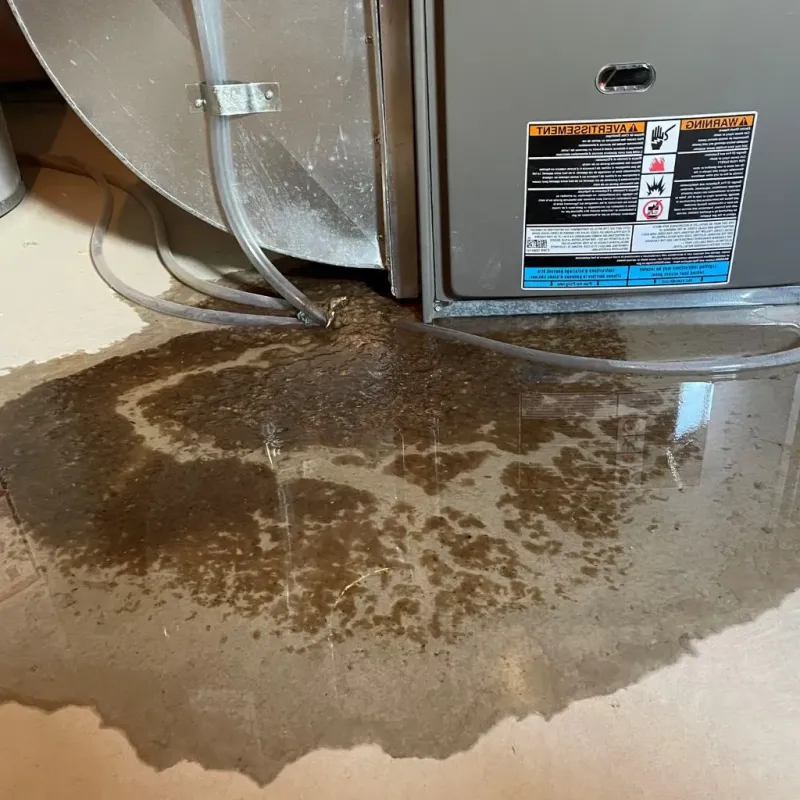 Pipe Burst and Leak Restoration in Moore, OK