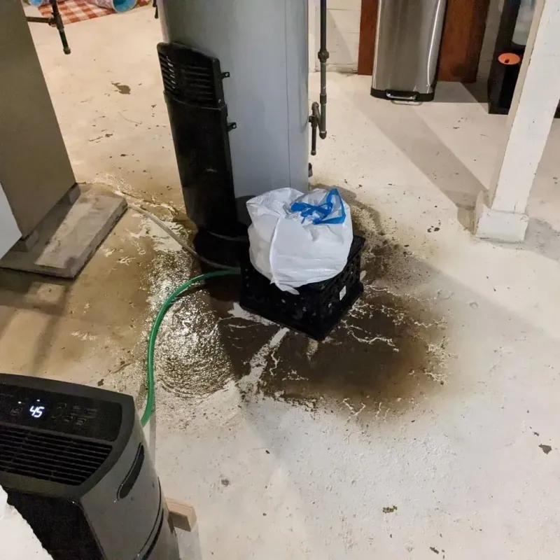 Sewage Backup Cleanup Service in Moore, OK